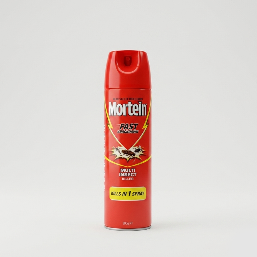 Mortein Spray 300g